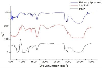 Encapsulation of bioactive compounds extracted from date palm seeds (Phoenix dactylifera L.) and their use in functional food